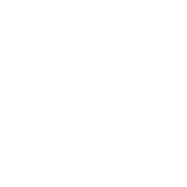 Asesoría y seguimiento para agentes inmobiliarios